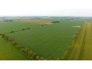 TRACT 1 - IMPORTANT OHIO LAND AUCTION - 325.5+/- ACRES OFFERED IN 8 TRACTS IN PICKAWAY COUNTY, OHIO